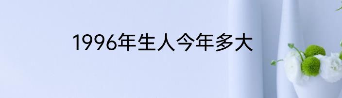 1996年生人今年多大