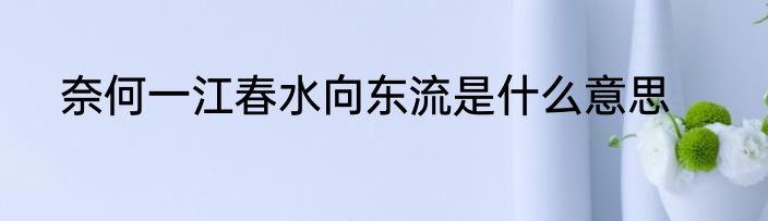 奈何一江春水向东流是什么意思