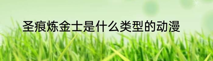 圣痕炼金士是什么类型的动漫