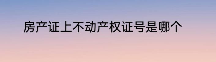 房产证上不动产权证号是哪个