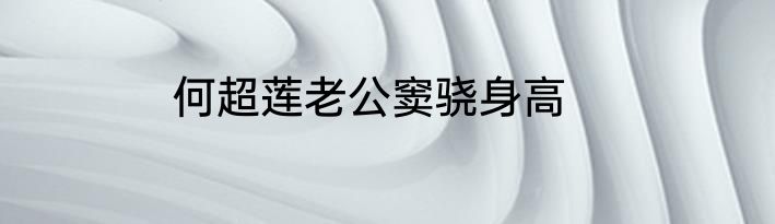何超莲老公窦骁身高