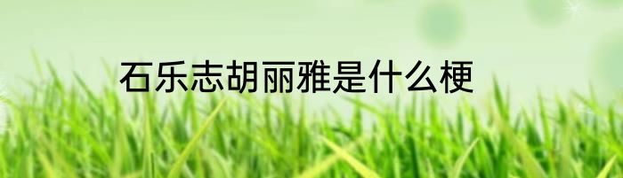 石乐志胡丽雅是什么梗