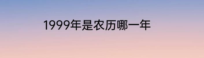 1999年是农历哪一年