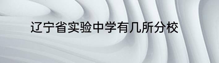 辽宁省实验中学有几所分校