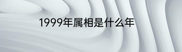 1999年属相是什么年