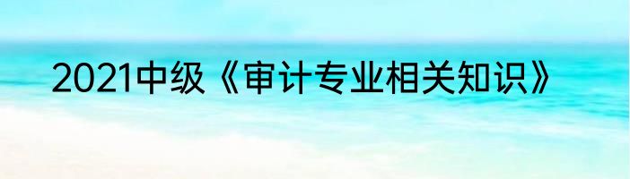2021中级《审计专业相关知识》