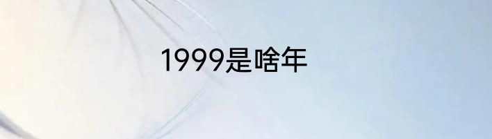 1999是啥年