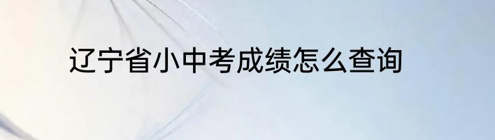 辽宁省小中考成绩怎么查询