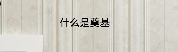 什么是奠基