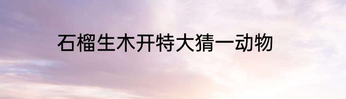 石榴生木开特大猜一动物