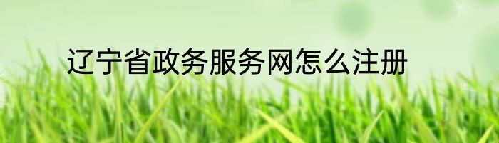 辽宁省政务服务网怎么注册