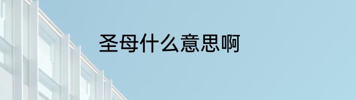 圣母什么意思啊