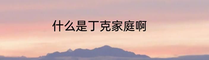 什么是丁克家庭啊