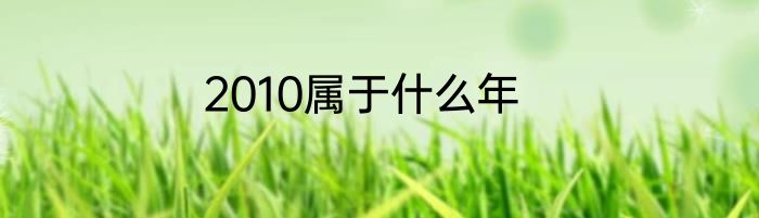 2010属于什么年