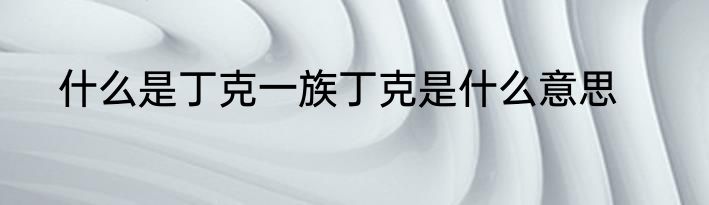 什么是丁克一族丁克是什么意思