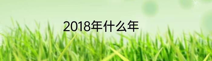 2018年什么年