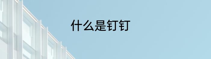 什么是钉钉