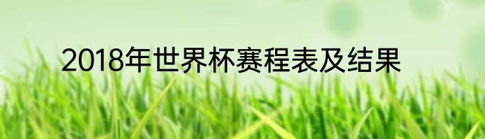 2018年世界杯赛程表及结果
