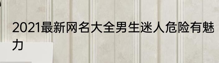 2021最新网名大全男生迷人危险有魅力