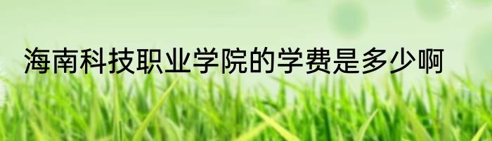 海南科技职业学院的学费是多少啊