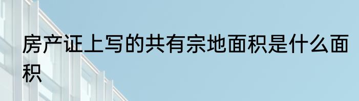 房产证上写的共有宗地面积是什么面积