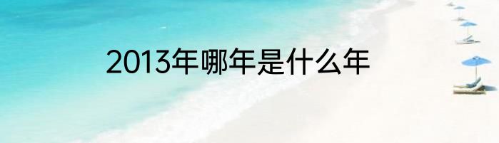 2013年哪年是什么年