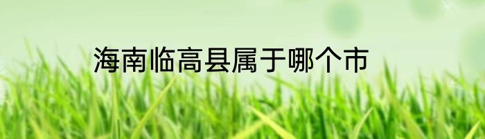 海南临高县属于哪个市