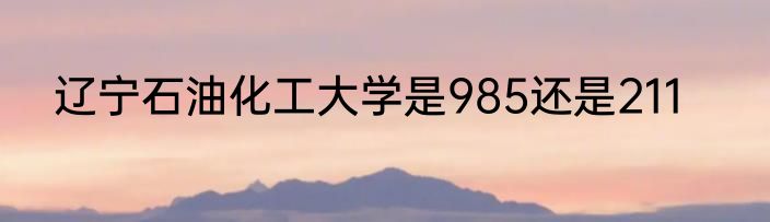 辽宁石油化工大学是985还是211