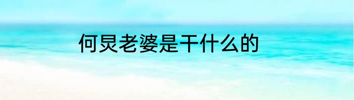 何炅老婆是干什么的