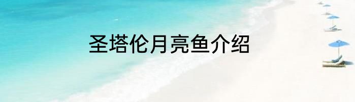 圣塔伦月亮鱼介绍