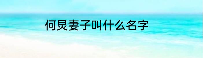 何炅妻子叫什么名字