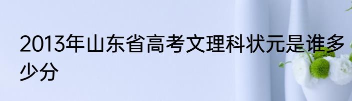 2013年山东省高考文理科状元是谁多少分