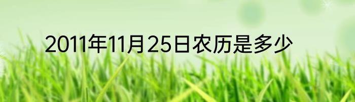 2011年11月25日农历是多少