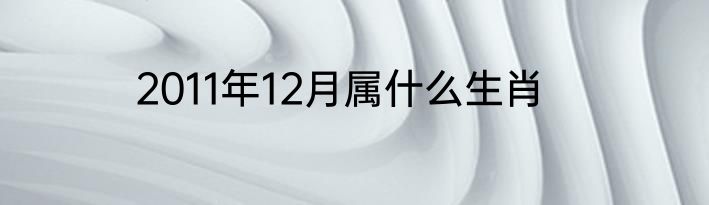 2011年12月属什么生肖
