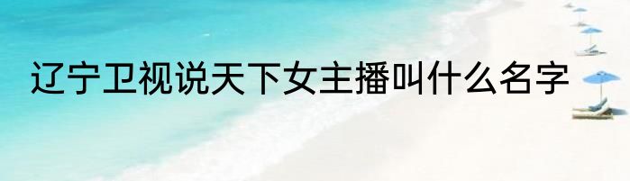 辽宁卫视说天下女主播叫什么名字