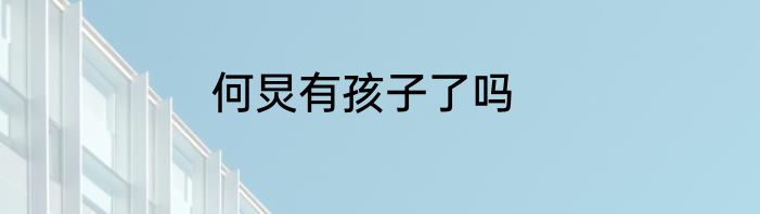 何炅有孩子了吗