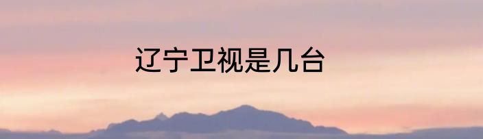 辽宁卫视是几台