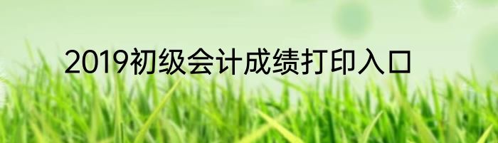 2019初级会计成绩打印入口