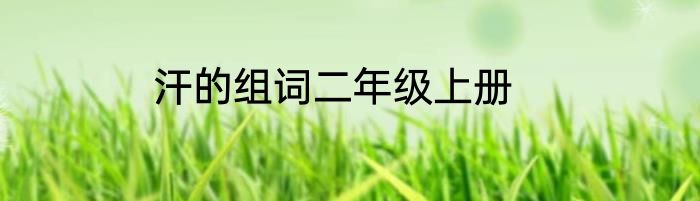 汗的组词二年级上册