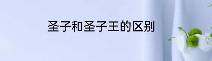 圣子和圣子王的区别