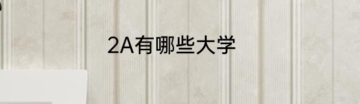 2A有哪些大学