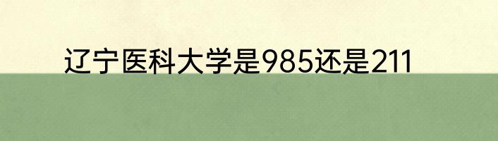 辽宁医科大学是985还是211