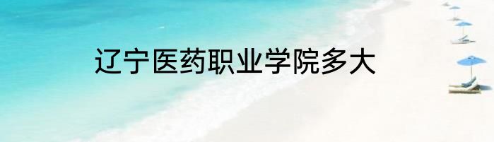 辽宁医药职业学院多大