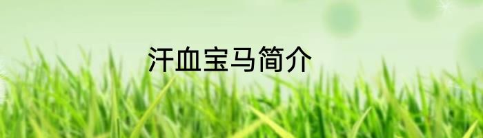 汗血宝马简介