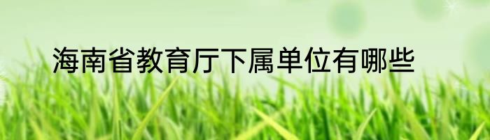 海南省教育厅下属单位有哪些