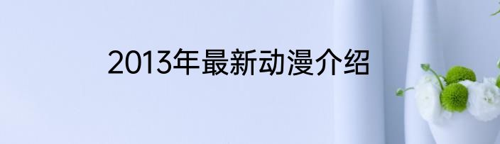 2013年最新动漫介绍