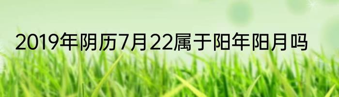 2019年阴历7月22属于阳年阳月吗