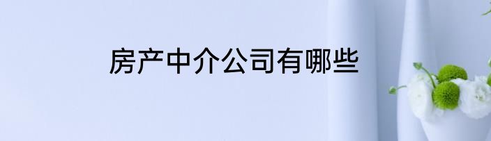房产中介公司有哪些