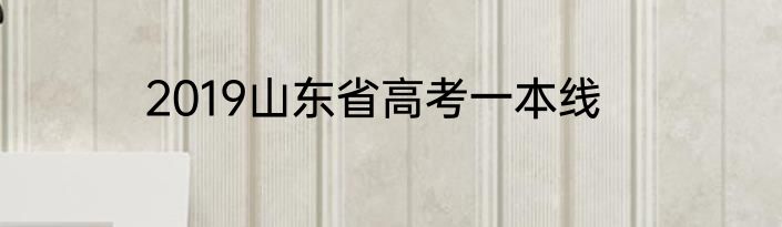 2019山东省高考一本线