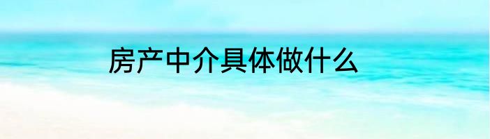房产中介具体做什么